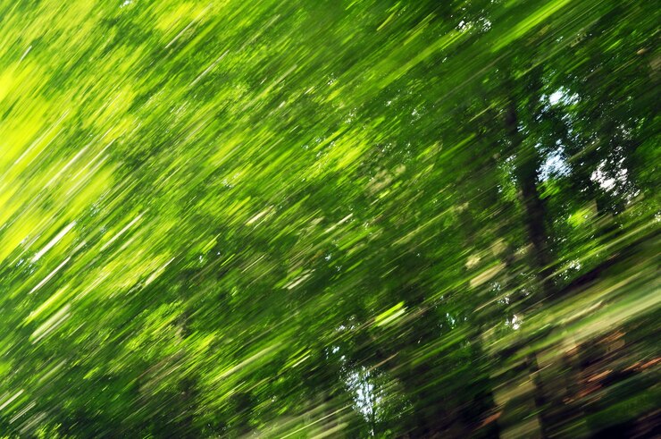 snelheid van de natuur