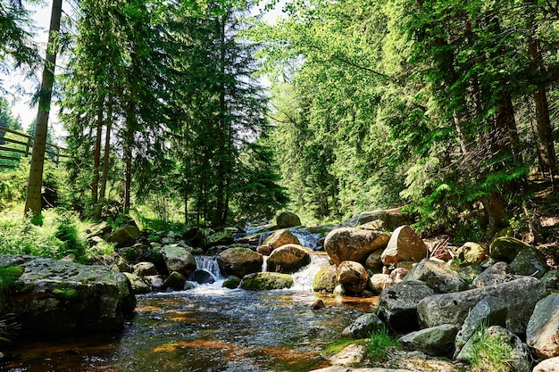 Snelle bergrivier met watervallen in Karpacz Polen