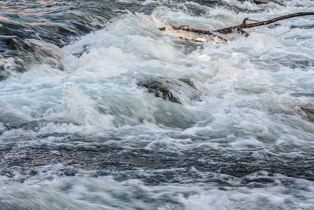 Snelle lente rivier die over rotsen stroomt en boomtakken afdrijft op een zonnige dag, die wildwatergolven vormt, close-updetail - abstracte aardachtergrond