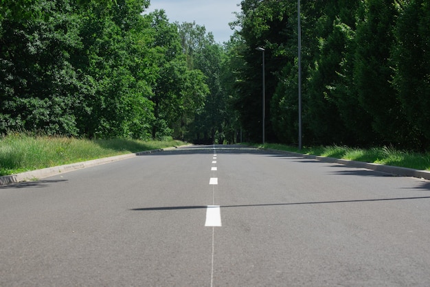 Snelweg door het zomerpark bos, heldergroen gebladerte van de bomen naast een asfaltweg