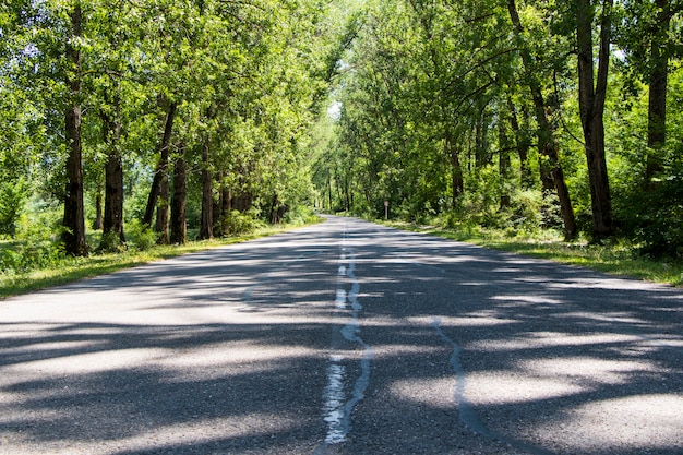 Snelweg- en weglandschap en uitzicht, schaduwen en zonlicht in georgië