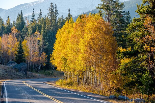 Snelweg in de herfst in Colorado, VS