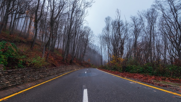 Snelweg in het kleurrijke herfstbergbos