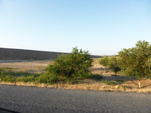 Snelweg tussen het steppelandschap