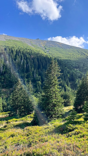 ポーランド山脈のスニェツカ山 (Sniezka Mountain)