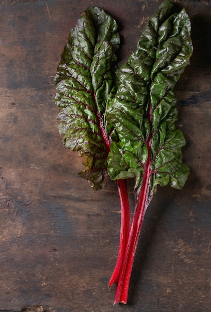 Snijbiet Mangold Salade Bladeren