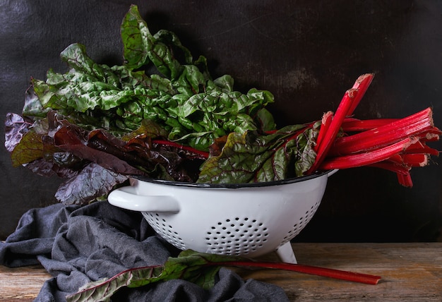 Snijbiet Mangold Salade Bladeren