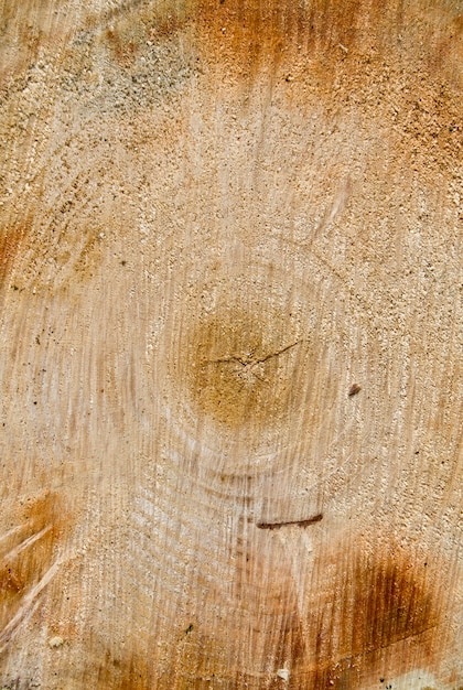 Snijd log hout achtergrondstructuur.