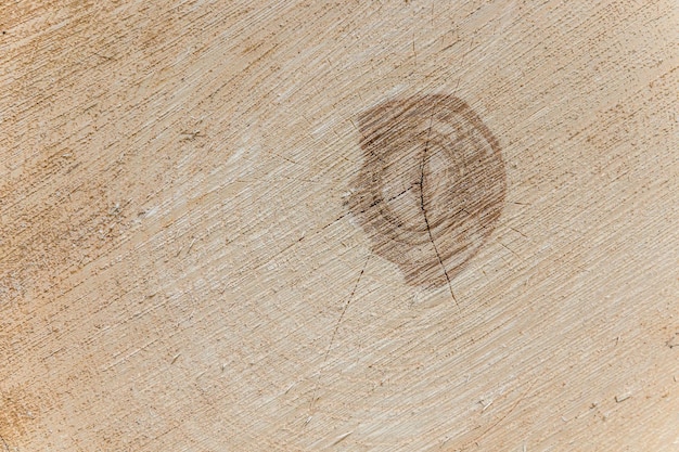 Snijding van oude stam De kern van de boom bestaat uit groeieringen en diepe scheuren