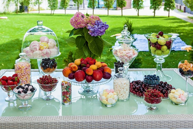 Snoepreep met fruit, bessen en marshmallows voor een feestje. feestelijke tafel met zoete en fruitige hapjes