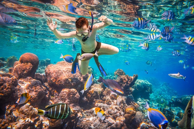 Snorkeler diving along the brain coral. Maldives Indian Ocean coral reef.