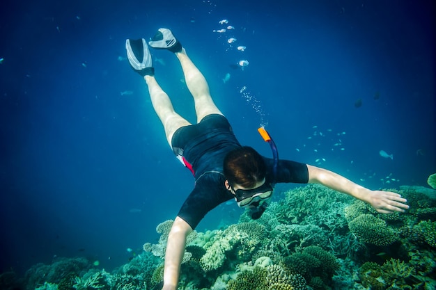 Snorkeler diving along the brain coral. Maldives Indian Ocean coral reef.