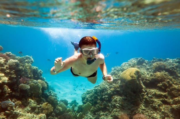 Snorkeler diving along the brain coral