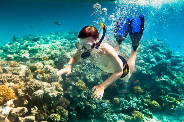 Foto snorkeling che si tuffa lungo il corallo cerebrale