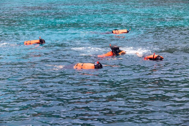 Snorkeling on a coral reef.