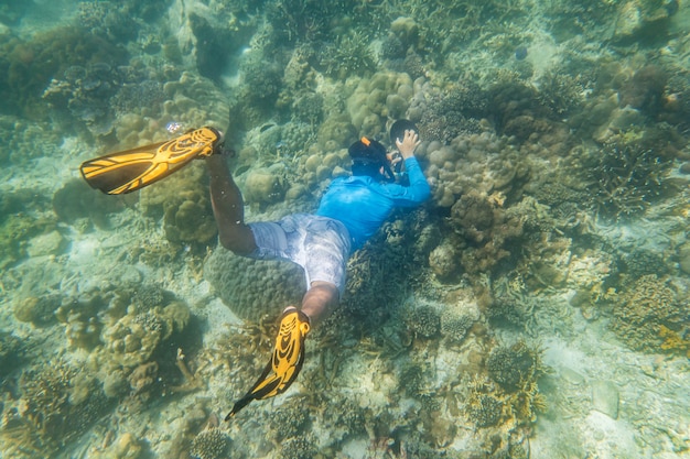 Snorkeling diver