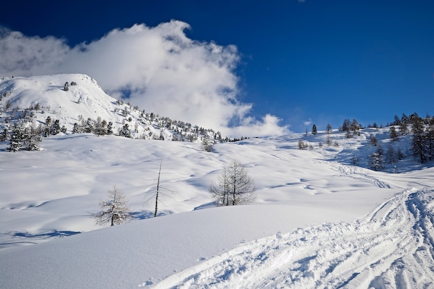 Snow on the Alps in winter, scenic landscape