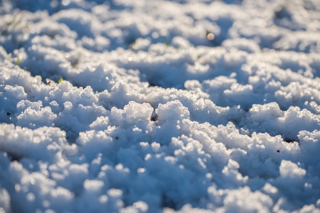 背景のクローズ アップ ビューとして雪冬天気春粒子の粗い青い雪の背景