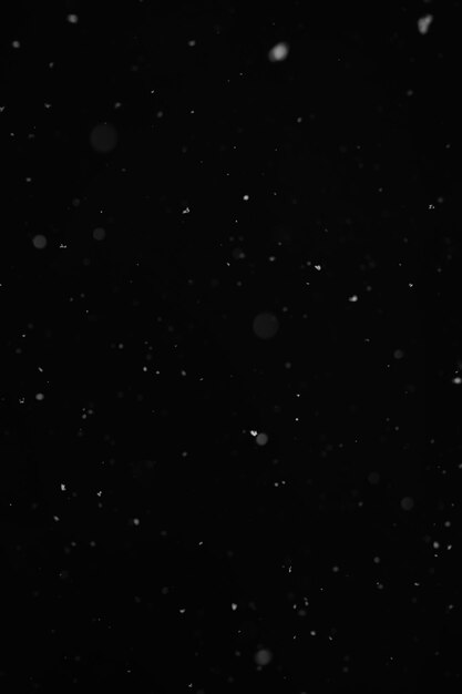 Snow background Snow on a black background Snowflakes for overlay