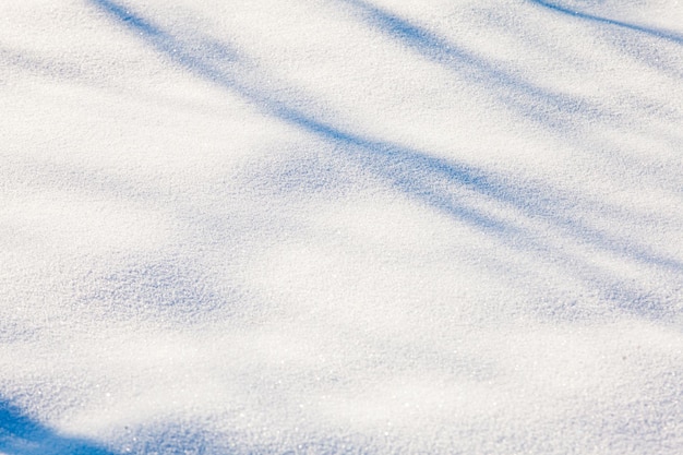снежный фон с тенями ветвей на морозе в солнечный день