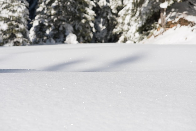 Foto sfondo di neve