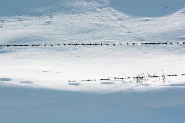 Snow and barbed wire mesh