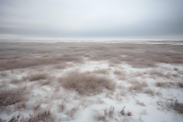 浜辺の雪