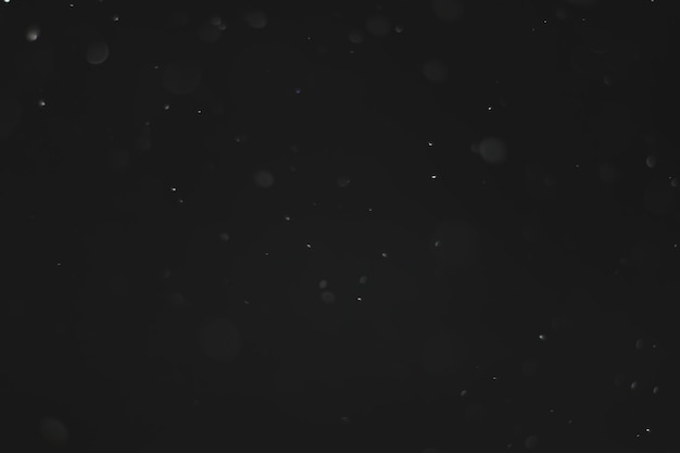 Snow on a black background. Snowflakes for overlay. Snow background.