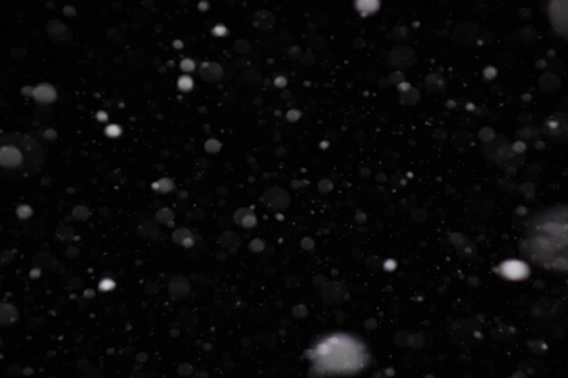 Snow on a black background Snowflakes for overlay Snow background