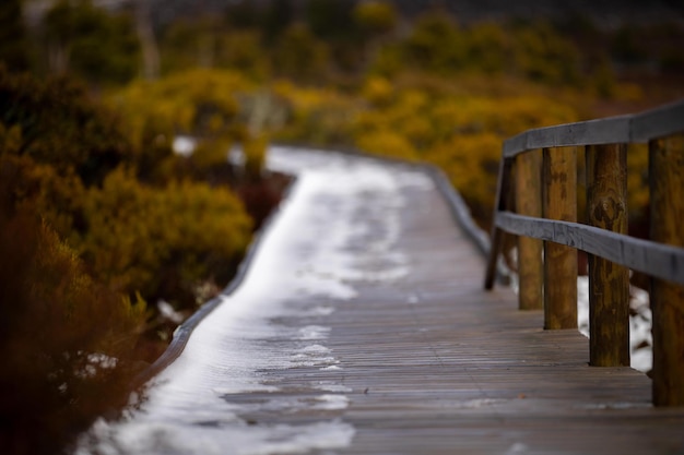 Snow on a boardwalk in a national park in australia in winter