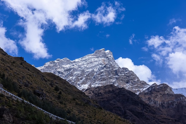 The snow capped mountain is visible in the distance.