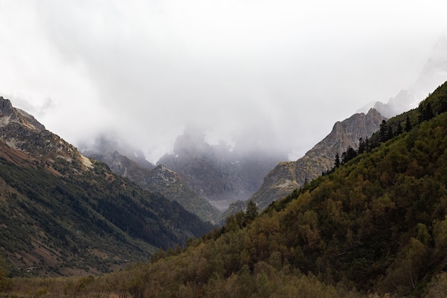 雲の中の雪をかぶった山脈。山の斜面にある鬱蒼とした森コーカサス、ロシア