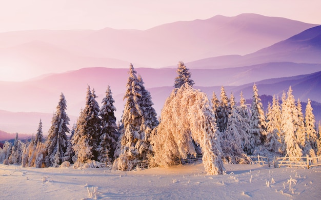 Snow capped mountains