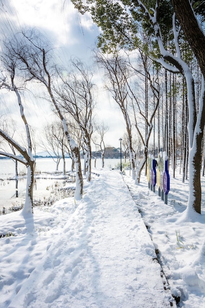 Snow in the city wetland park