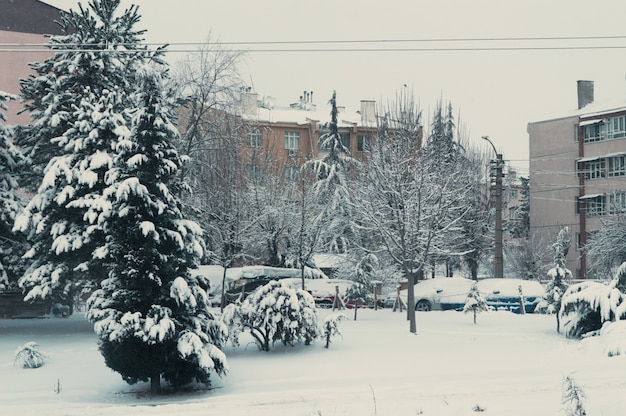 住宅街の積雪