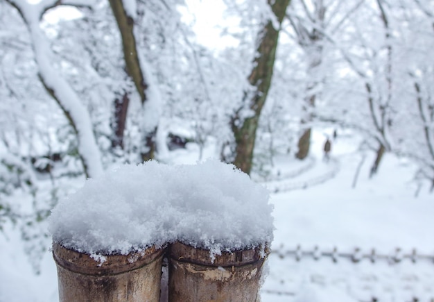白い凍った森林を背景にした竹フェンスに覆われた雪。