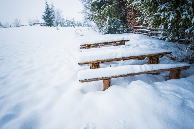 Snow-covered benches stand in high snowdrifts