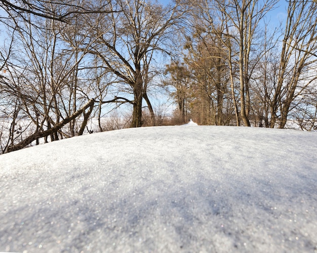 雪に覆われた車の屋根と雪に覆われた木々のある道路、車の部分と冬の自然のクローズアップ、クローズアップ