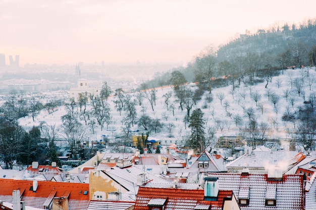 snow-covered city in winter