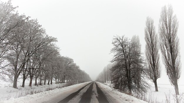 Strada asfaltata vuota coperta di neve con alberi di brina su entrambi i lati sullo sfondo