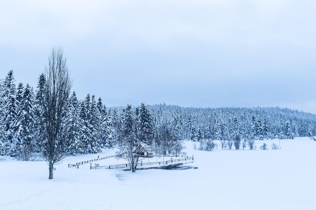 Photo snow covered field against sky