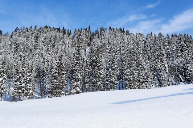 Snow covered field against sky