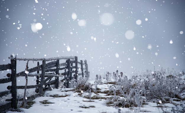 空に照らされた雪に覆われた畑