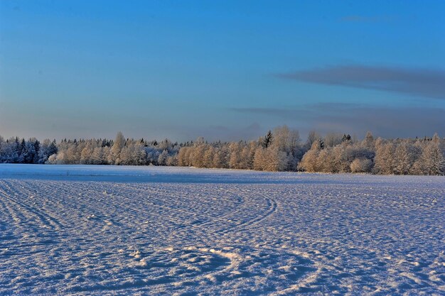 写真 空に照らされた雪に覆われた畑