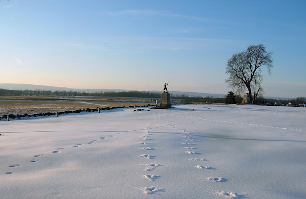 空に照らされた雪に覆われた畑