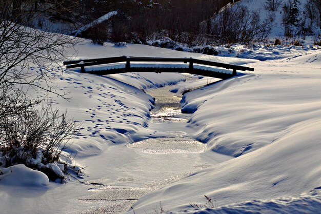 Snow covered field