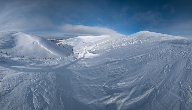遠くに雪庇のある雪の山高原の雪に覆われたモミの木絵のような美しいアルプスの尾根の壮大な晴れた日