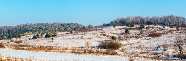 Foresta innevata su una collina in inverno, ricoperta di ghiaccio e fiume di neve