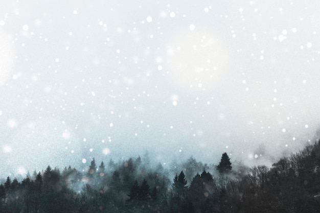 Snow covered forests in Germany during winter