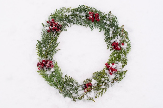 Snow-covered green branches of thuja with viburnum berries in the form of a circle on white snow